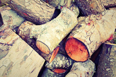 Base Green wood burning boiler costs